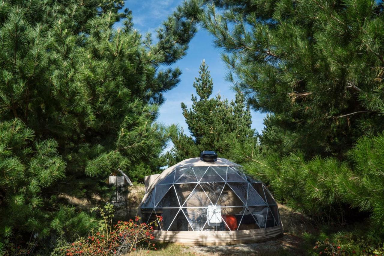 Отель Mt Gold Glamping Ванака Экстерьер фото